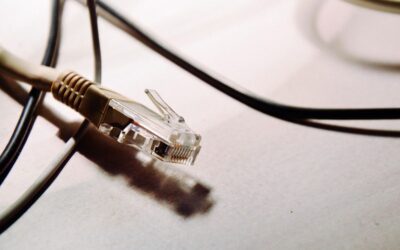 Un connecteur RJ45 et plusieurs câbles noirs sur une surface claire
